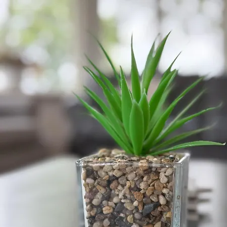 House - Private Use Sedbergh