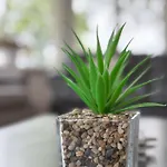 House - Private Use Sedbergh